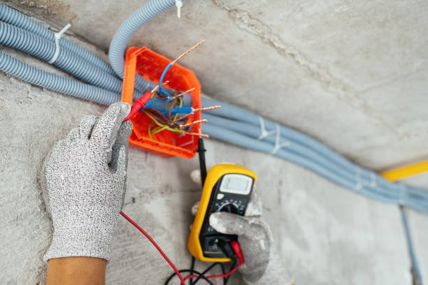 Best Outdoor Lighting Installation  in Clear Lake, WI